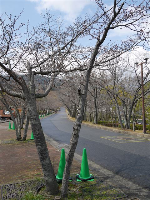 皇子が丘公園の遊具まで歩く