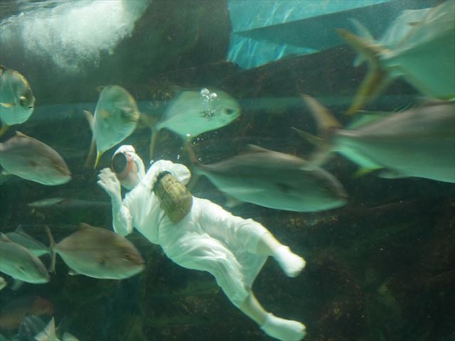 「志摩マリンランド」海人の餌付け