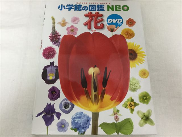 「小学館の図鑑NEO」花（DVDつき）