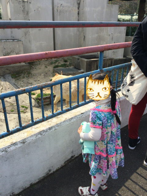 八幡市「子ども動物園」ヤギを見つめる娘