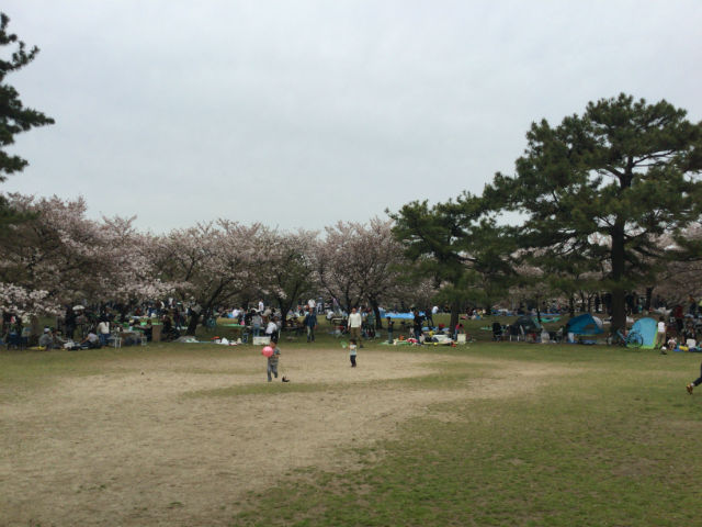 浜寺公園の広場とバーベキューをする様子