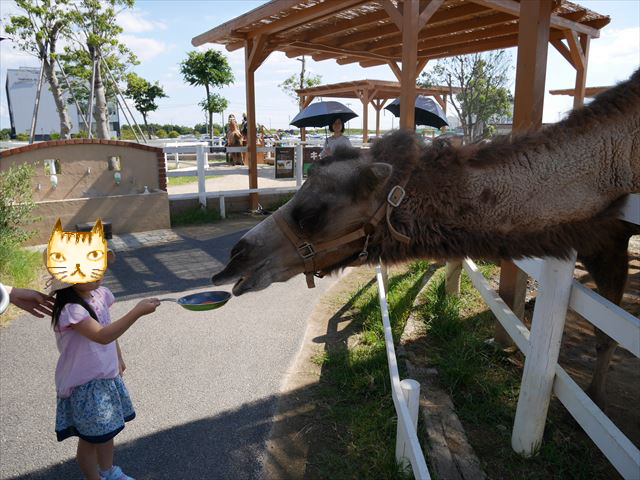 「神戸どうぶつ王国」キリン