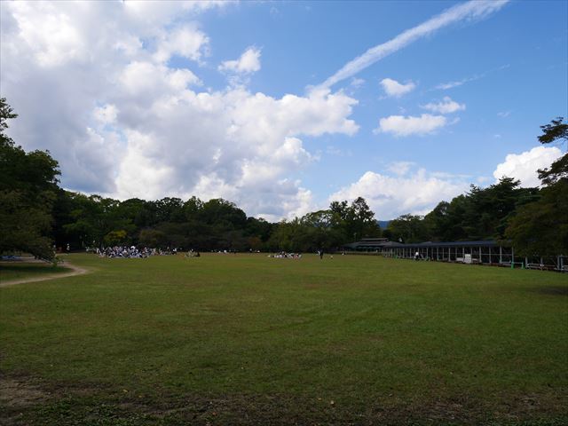 「京都府立植物園」の大芝生