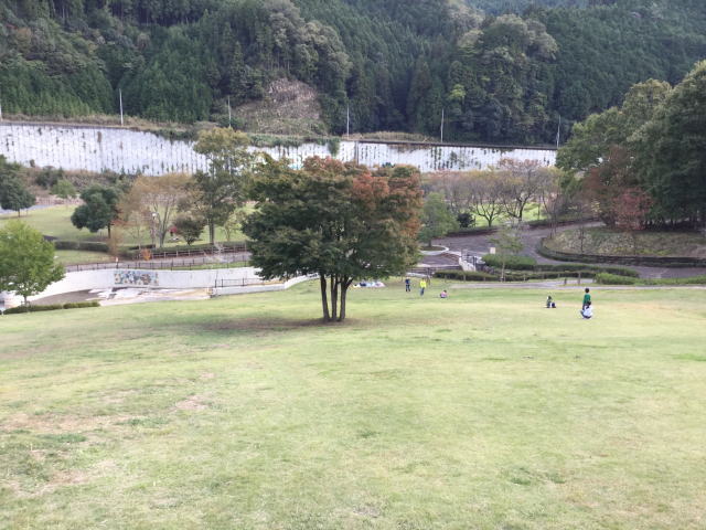 平成榛原子供のもり公園「恐竜の国」草斜面