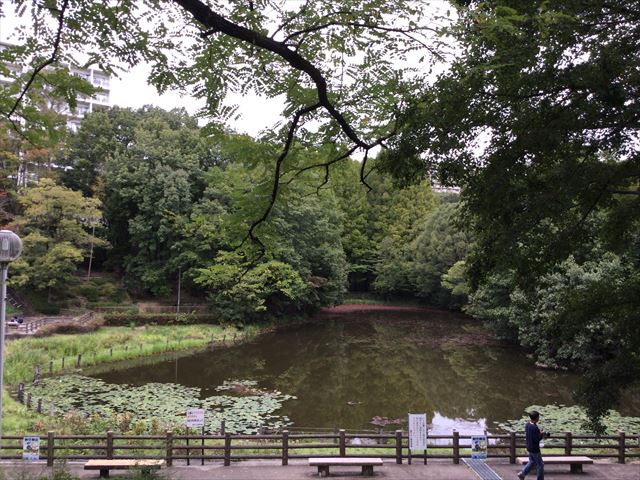 千里東町公園の池