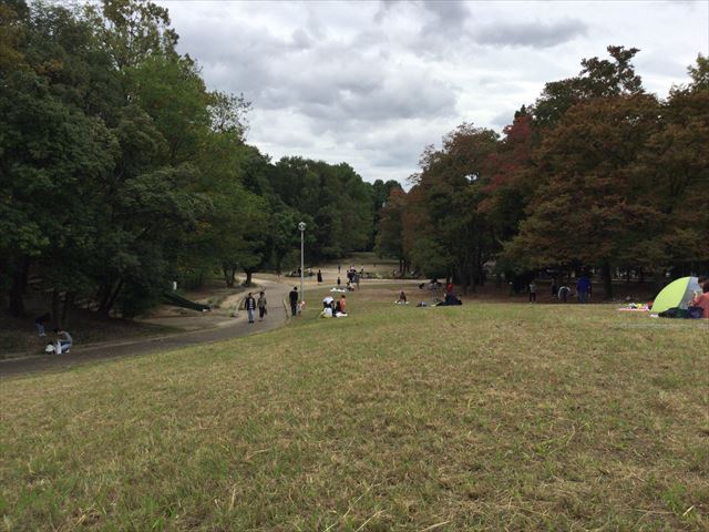 千里東町公園の芝生広場、丘の上から見た様子