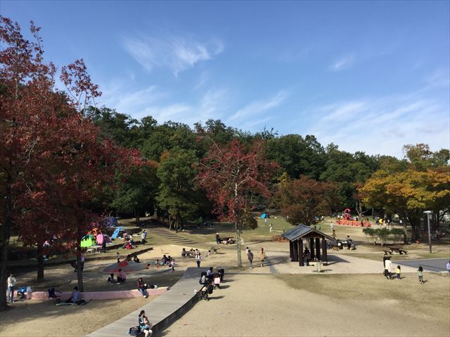 宝が池公園「子どもの楽園」