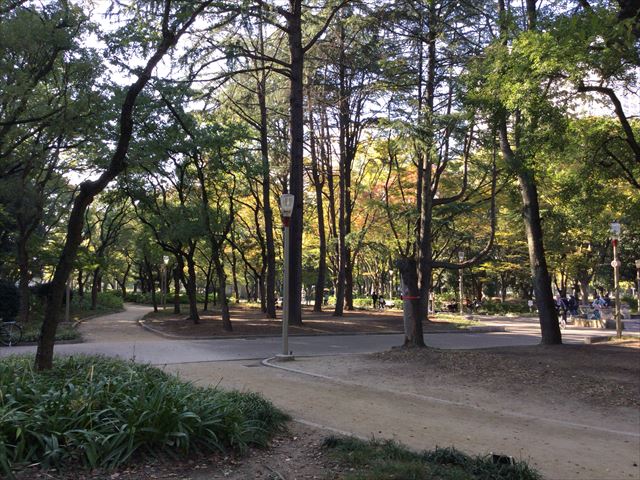 靭公園内の小路