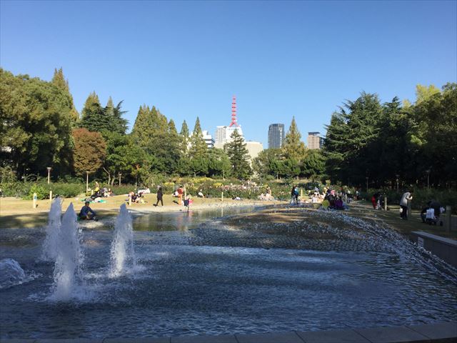 靭公園のバラ園と池