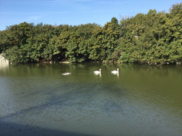 明石公園前の堀