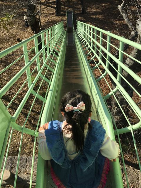 明石公園「子どもの村」ロングスライダー（長い滑り台）を上から撮影