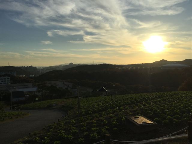 神戸総合運動公園「冒険のくに」から見える夕焼け