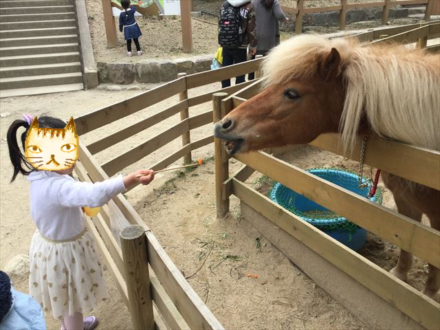 「五月山動物園」ポニーにおやつのニンジンをあげる子供