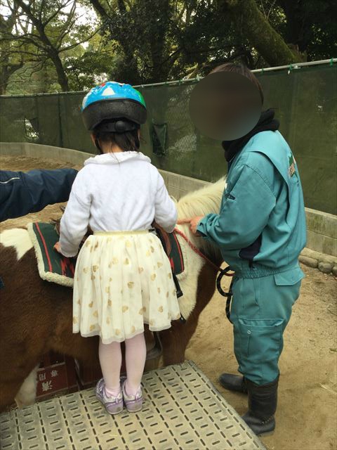 「五月山動物園」ポニー乗馬体験をする娘