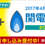 eo割「eo電気+関電ガス」を組み合わせたセット割