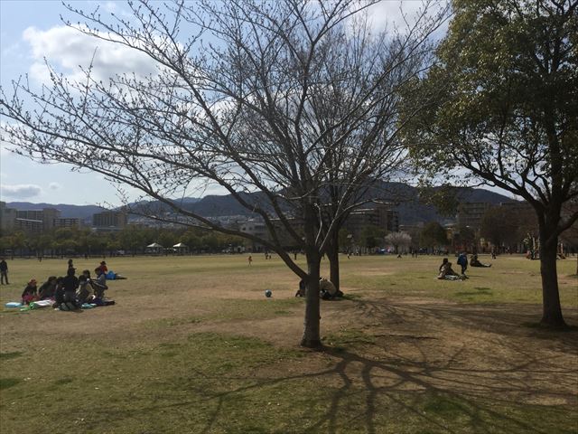 「末広中央公園」広大な芝生広場