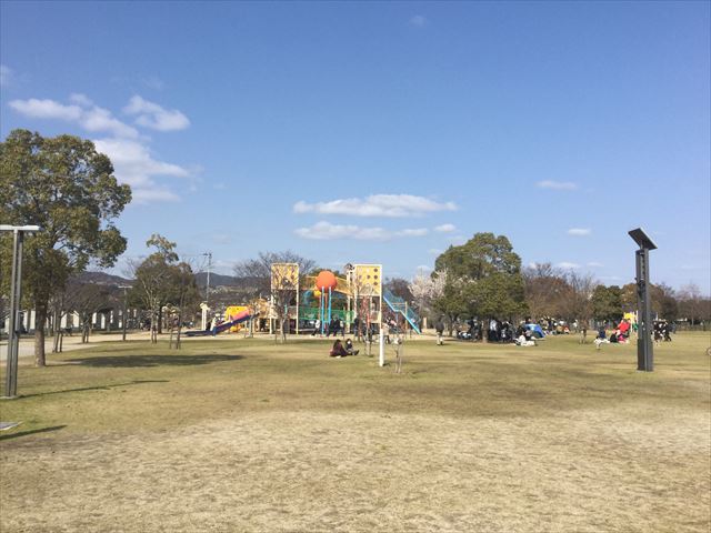 「末広中央公園」の遊具と芝生広場