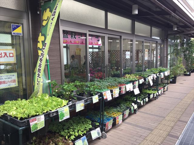 道の駅「愛彩ランド」野菜の苗コーナー