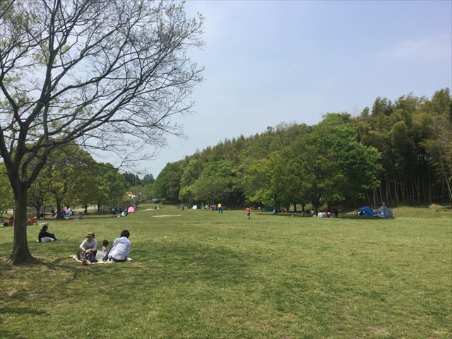 蜻蛉池公園の芝生広場でお弁当を食べている様子