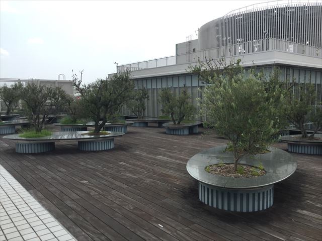 大丸心斎橋店北館屋上庭園、ベンチと植物