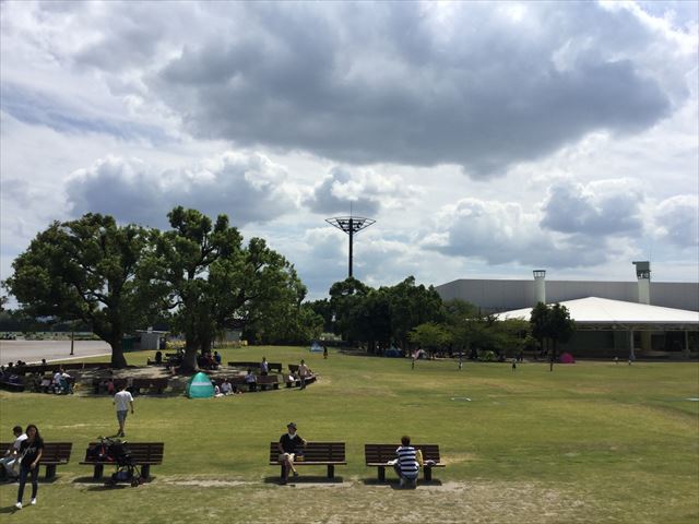 京都競馬場の公園「緑の広場」の広大な芝生