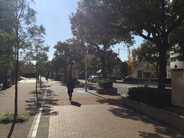 こべっこランドを右折した道路