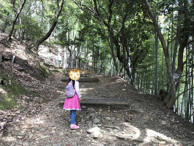 天王山登山中の子供の様子