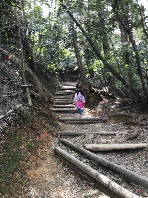 子供が天王山登山の様子