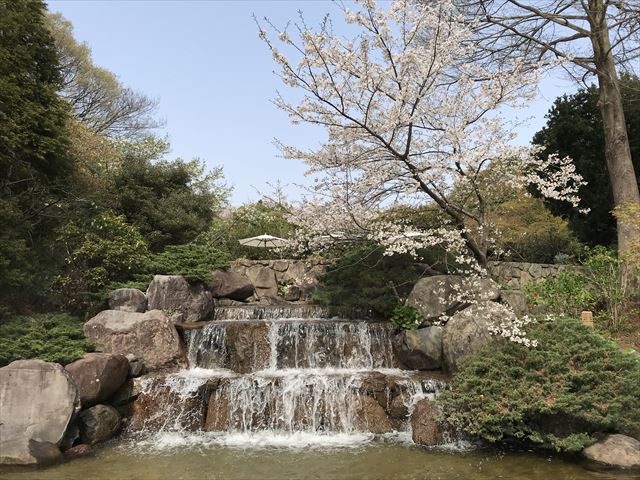 須磨離宮公園「植物園」の三段滝