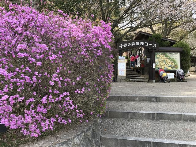 須磨離宮公園の子供の森「アスレチック」受付前