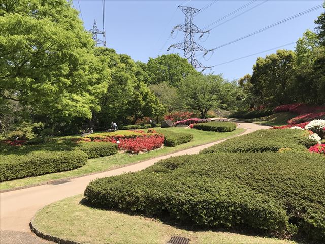 錦織公園「つつじの丘」