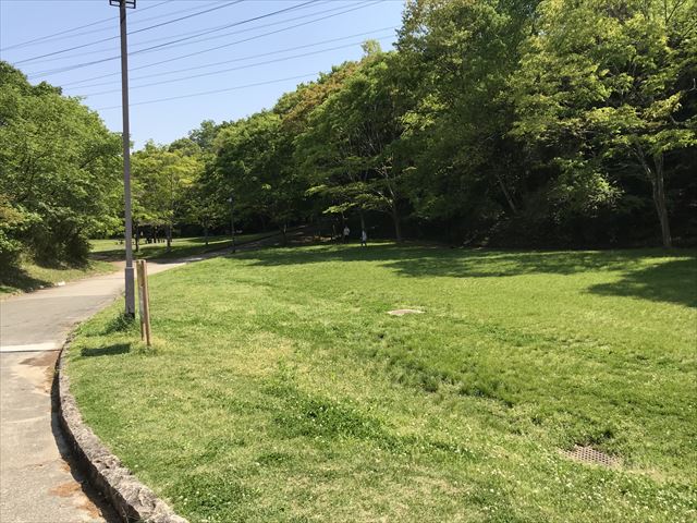 錦織公園の芝生広場