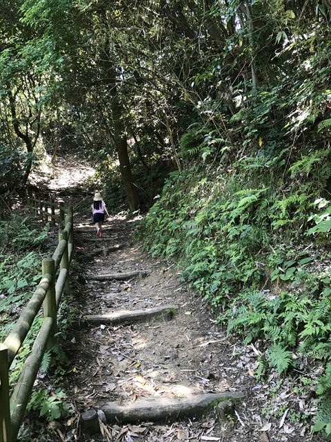 むろいけ園地、水辺自然公園をハイキング。細い道を歩く