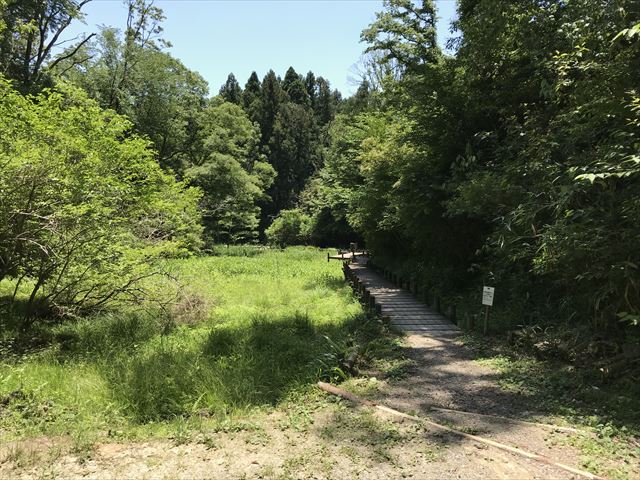 むろいけ園地、水辺自然公園をハイキング、湿生花園