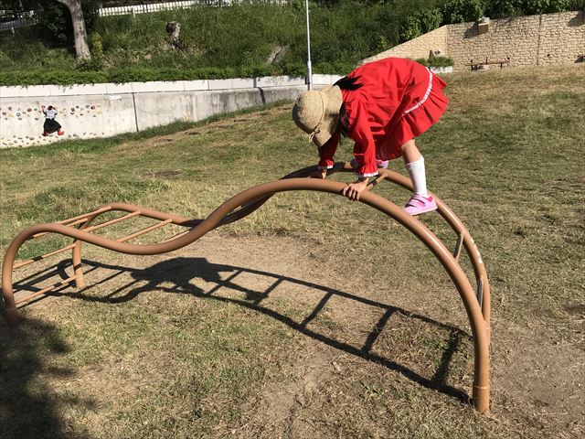 枚岡公園「みんなの広場」にある太鼓橋風のハシゴ