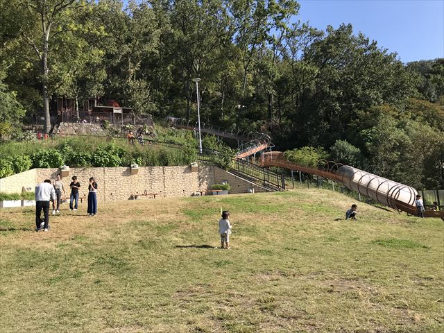 枚岡公園「みんなの広場」にある芝生