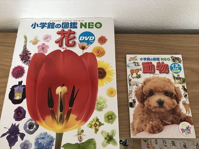 小学館の図鑑NEO、書店版とハッピーセット版のサイズの違い