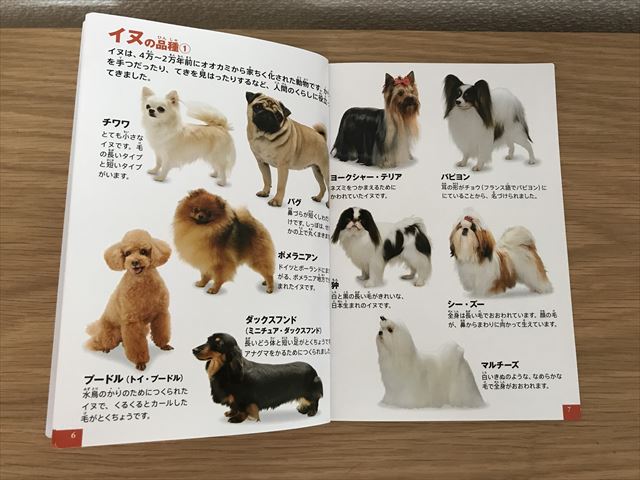 ハッピーセット「小学館の図鑑NEO」動物（犬のなかま）のページを開いた様子