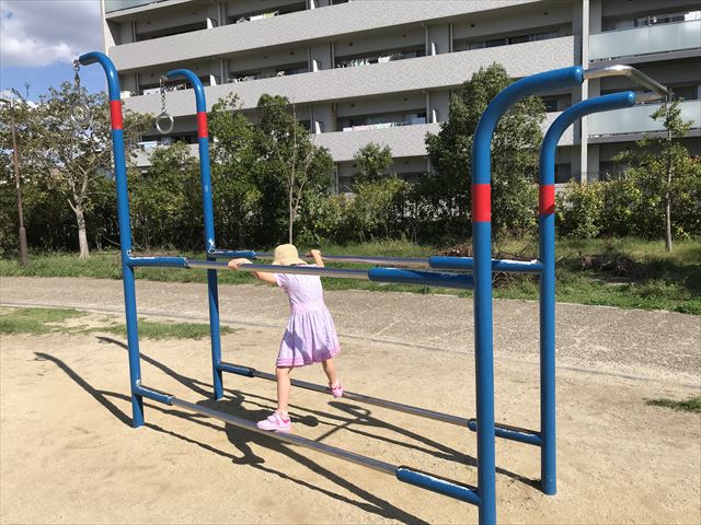 鳳公園の複合遊具「健康器具」