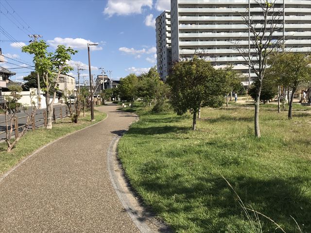 鳳公園の遊歩道