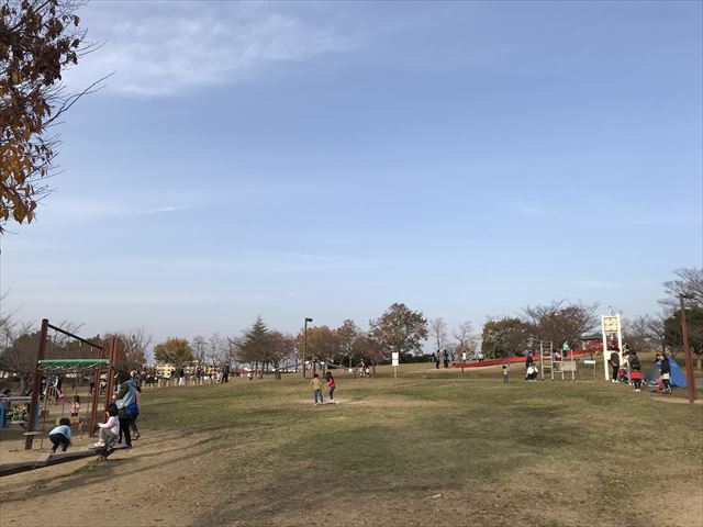 大和郡山市「九条公園」芝生広場（手前）と遊具（奥）