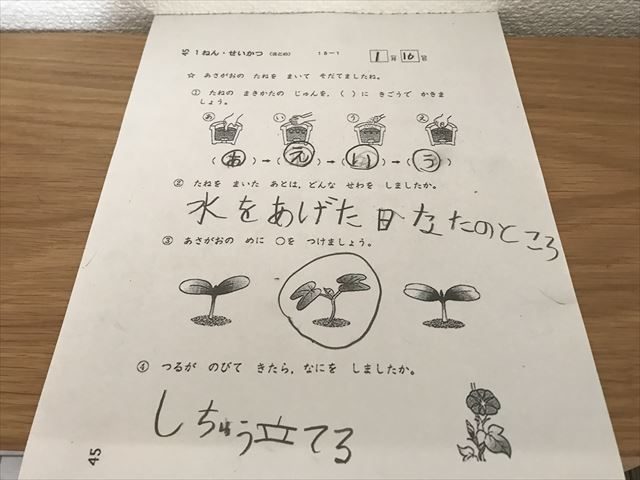 がんばる舎「gambaエース」1年生活の問題を解いたプリント