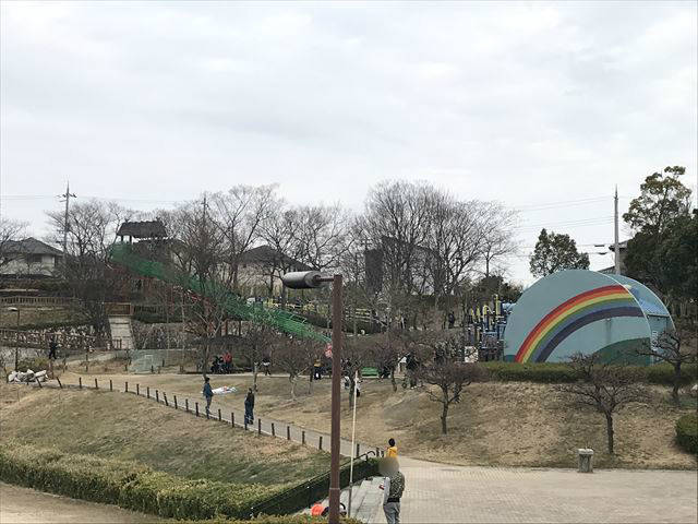 竹取公園の「学びの森」にある複合遊具