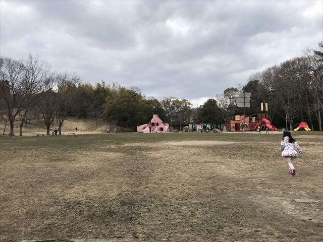 「大渕池公園・東地区」芝生と遊具