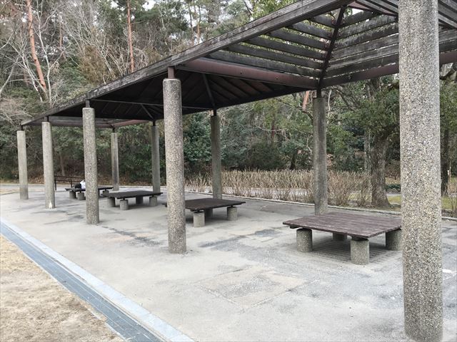 「大渕池公園・東地区」ベンチ