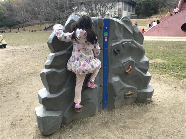 「大渕池公園・東地区」ミニロッククライミング遊具