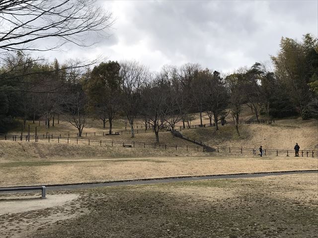 「大渕池公園・東地区」の丘