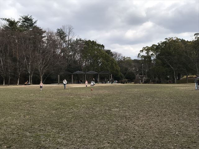 「大渕池公園・東地区」芝生広場