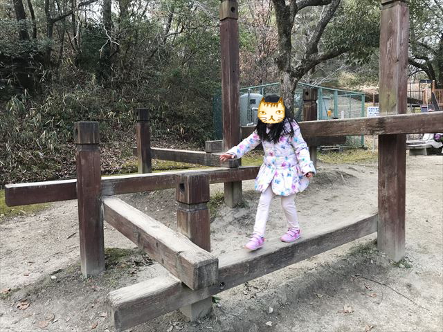 大渕池公園西地区の平均台