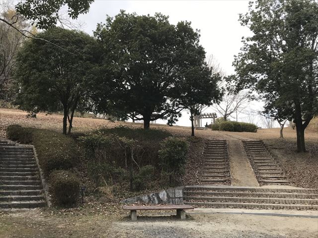 大渕池公園西地区の広大な丘